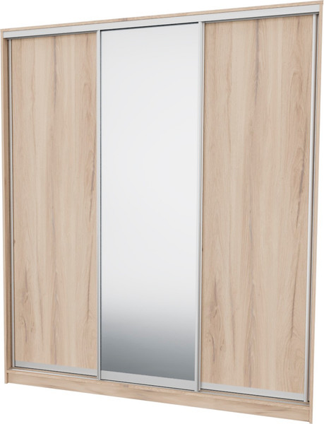 Шкаф-купе Рэйгрупп 176 EEX Elgon РГ-03.02