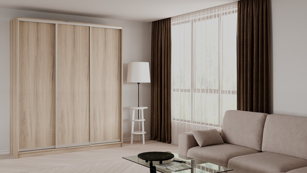 Шкаф-купе Рэйгрупп 233 EEX Elgon РГ-01.03