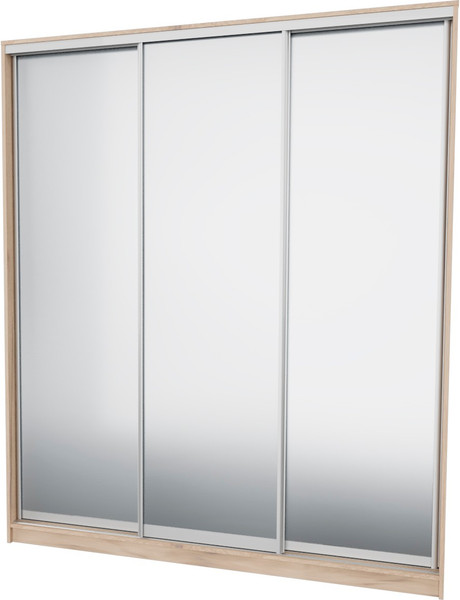 Шкаф-купе Рэйгрупп 203 EEX Elgon РГ-02.04