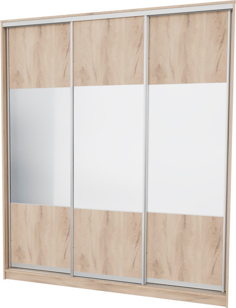 Шкаф-купе Рэйгрупп 203 EEX Elgon РГ-02.05