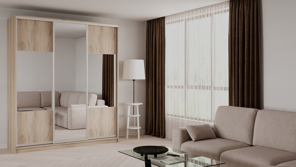 Шкаф-купе Рэйгрупп 203 EEX Elgon РГ-02.06