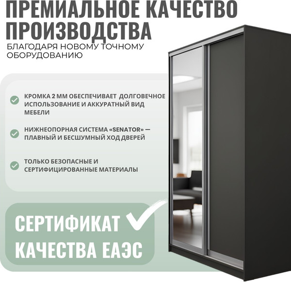 Шкаф-купе Рэйгрупп 233 BBX Elgon РГ-07.01 