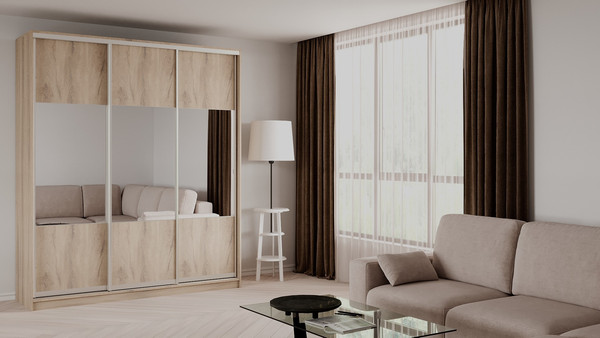 Шкаф-купе Рэйгрупп 233 EEX Elgon РГ-07.01 