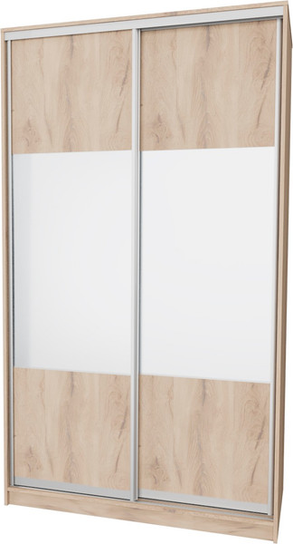 Шкаф-купе Рэйгрупп 120 ЕЕX Elgon РГ-12.01