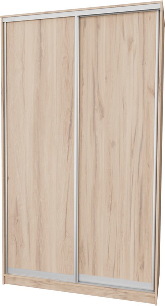 Шкаф-купе Рэйгрупп 120 ЕЕX Elgon РГ-12.03