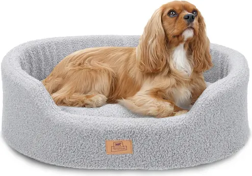 Лежанка для животных Ferplast Dandy 55 / 83815521