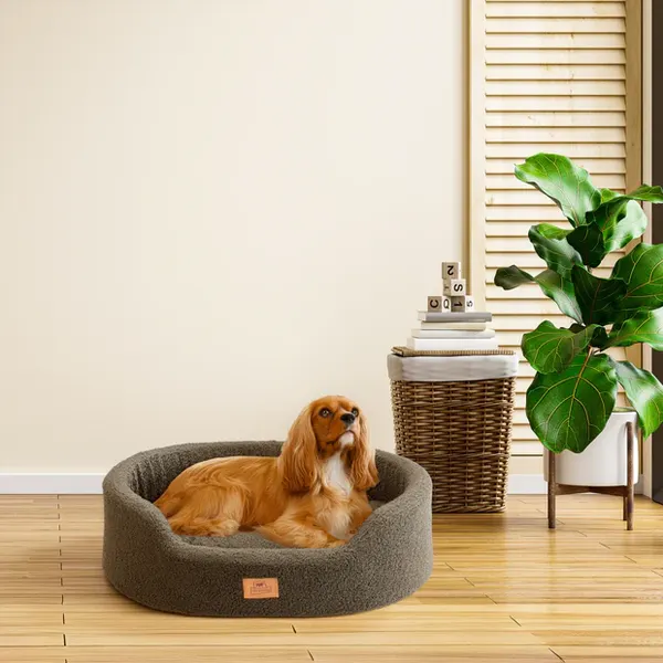 Лежанка для животных Ferplast Dandy 65 / 83816512 (темно-зеленый)