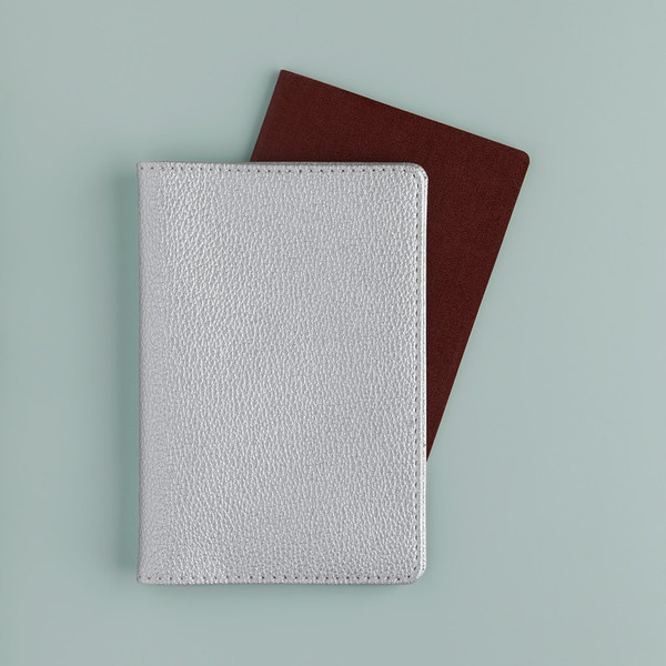 Обложка на паспорт Bruno Visconti 3-619/11