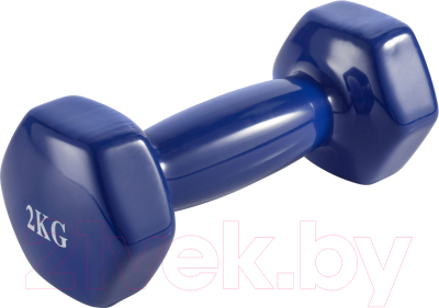 Гантель VictoryFit VF-DV010 - фото