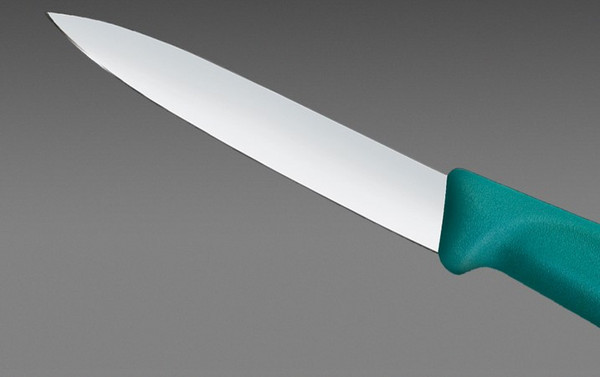 Нож Victorinox Swiss Classic 6.7604.C1