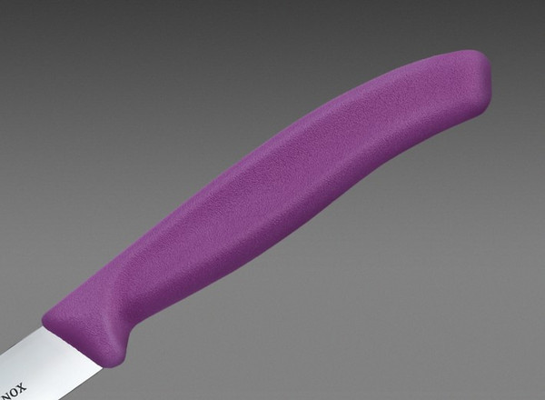 Нож Victorinox Swiss Classic 6.7705.C1