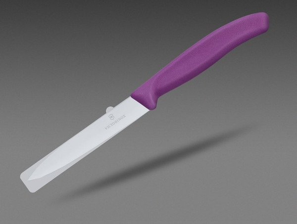 Нож Victorinox Swiss Classic 6.7705.C1