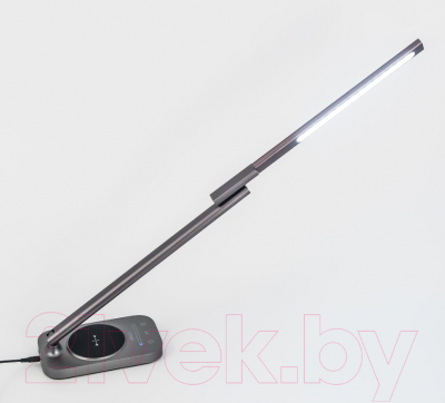 Настольная лампа Citilux Ньютон CL803052