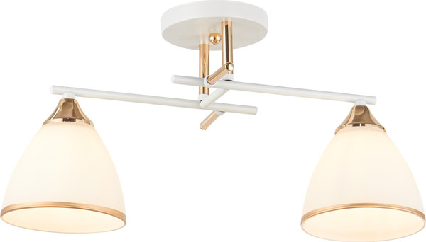 Потолочный светильник Mirastyle WX-6313/2 WH+FG