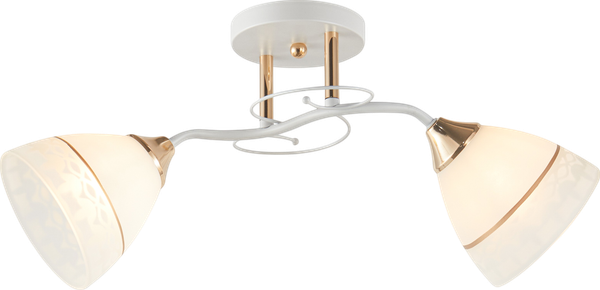 Потолочный светильник Mirastyle WX-6411/2 WH+FG