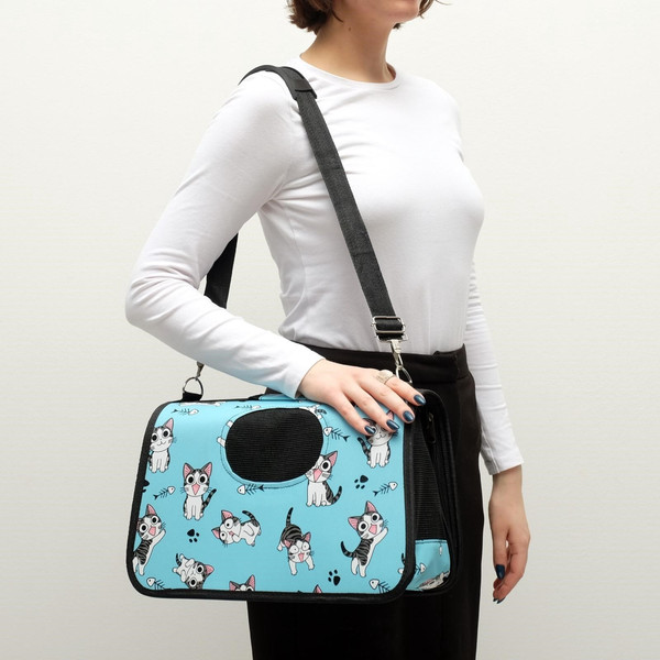 Сумка для животных Sima-Land Играющие котики / 4777614