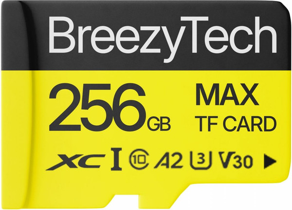 Карта памяти BreezyTech Max MicroSD 256GB Class 10 - фото
