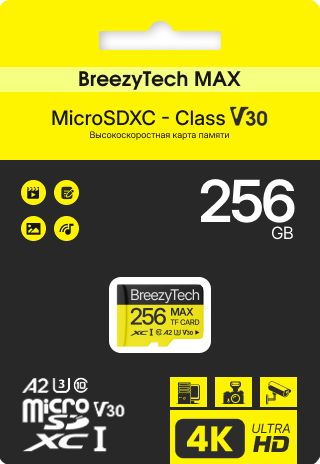 Карта памяти BreezyTech Max MicroSD 256GB Class 10