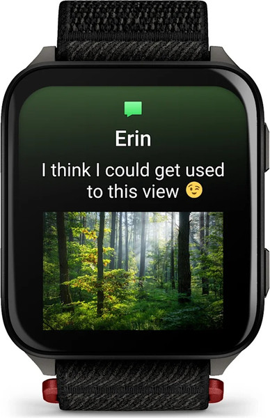 Умные часы Garmin Venu X1 / 010-02980-02