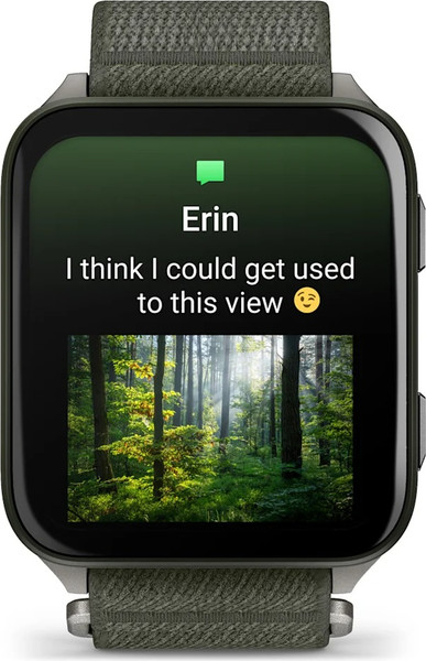 Умные часы Garmin Venu X1 / 010-02980-03