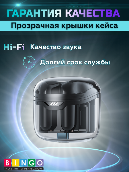 Беспроводные наушники Bingo TM40