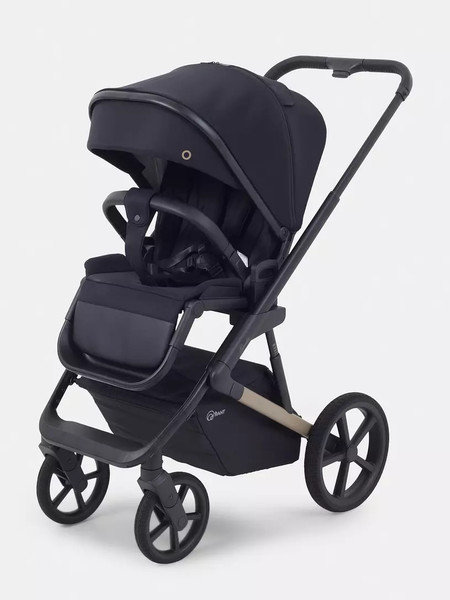 Детская универсальная коляска Rant Garda 2 в 1 / RA114