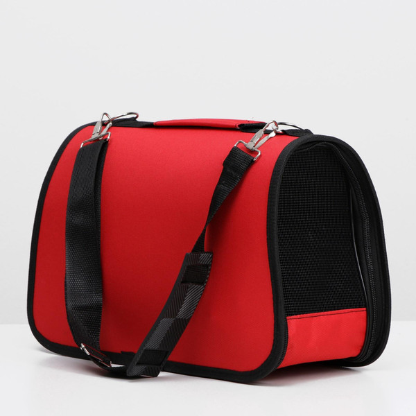 Сумка для животных Sima-Land Веселый жук / 4777611