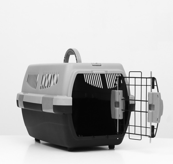 Переноска для животных Sima-Land Неон / 9343366