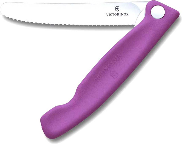 Нож Victorinox Swiss Classic 6.7835.FC1 - фото