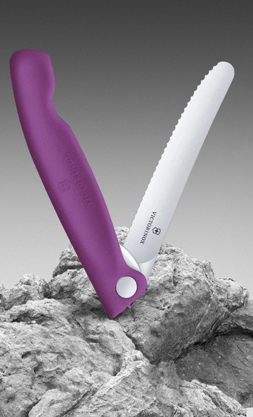 Нож Victorinox Swiss Classic 6.7835.FC1