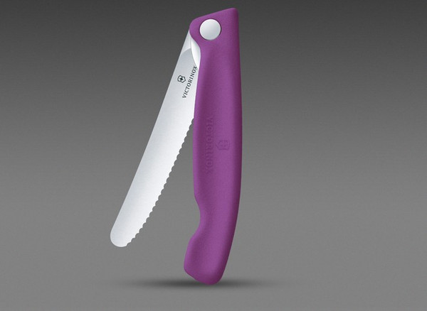 Нож Victorinox Swiss Classic 6.7835.FC1