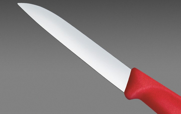 Нож Victorinox Swiss Classic 6.7401.C1