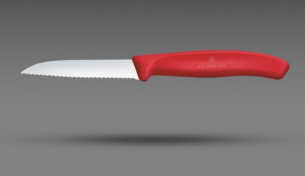 Нож Victorinox Swiss Classic 6.7431.C1