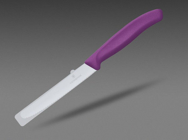 Нож Victorinox Swiss Classic 6.7835.C1