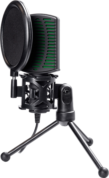 Микрофон Ritmix RDM-126 Pro - фото