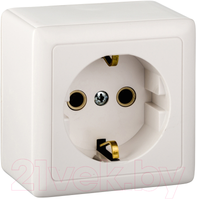 Розетка Systeme (Schneider) Electric Хит RA16-133I-B - фото