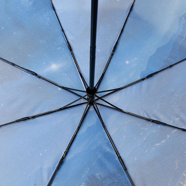 Зонт складной Fabretti UFS0121-8