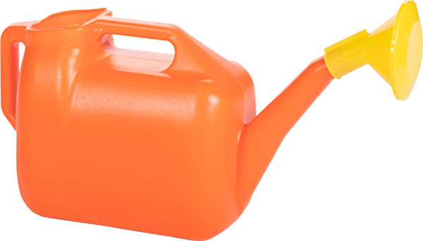 Лейка садовая Радиан с рассеивателем - фото