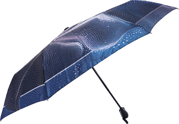 Зонт складной Fabretti UFS0154-8