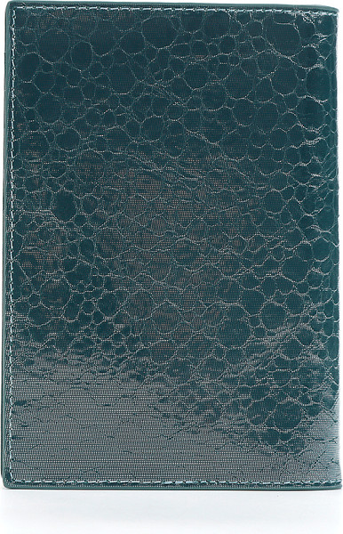 Обложка на паспорт Fabretti Q250019-152