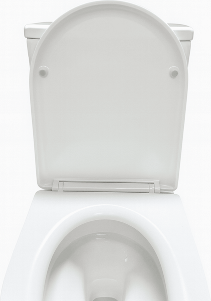 Унитаз напольный Grado GD-3203Т