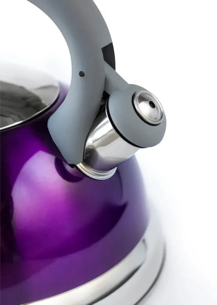 Чайник со свистком TimA K-24