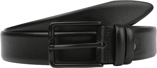 Ремень мужской Fabretti LFR2736-2 - фото