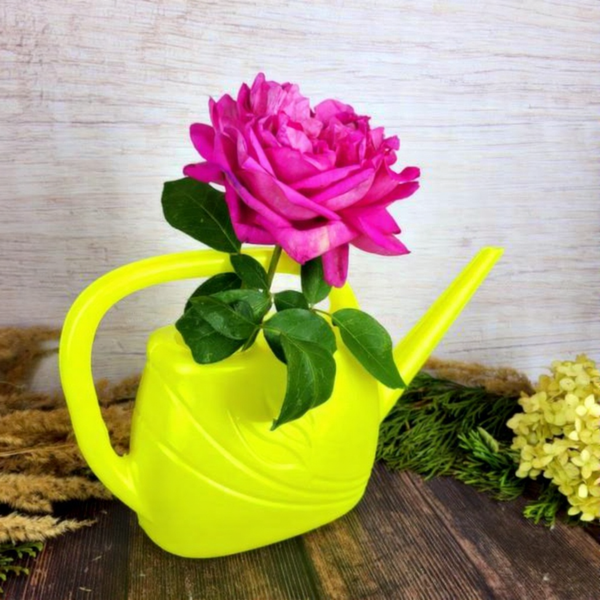 Лейка комнатная Инструм-Агро Гардения 011531