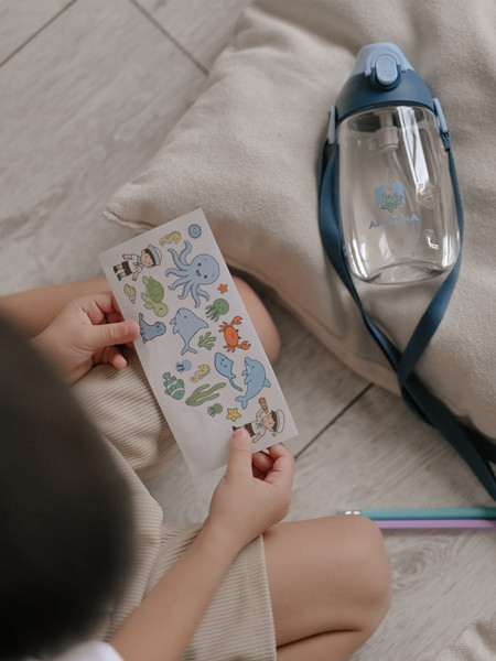 Бутылка для воды Арктика 730-480-CBLT