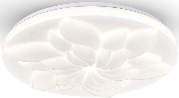 Потолочный светильник ESCADA 472/PL LED - фото