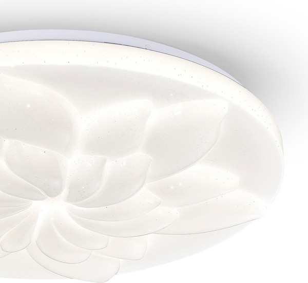 Потолочный светильник ESCADA 472/PL LED