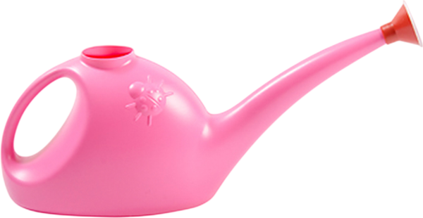 Лейка садовая Радиан с рассеивателем - фото