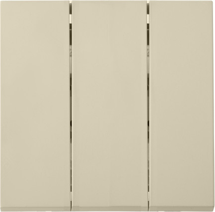 Выключатель Bylectrica С05 10-3605 - фото