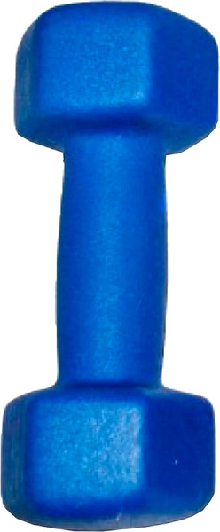 Гантель ZEZ Sport Виниловая / 1kg-N-С - фото